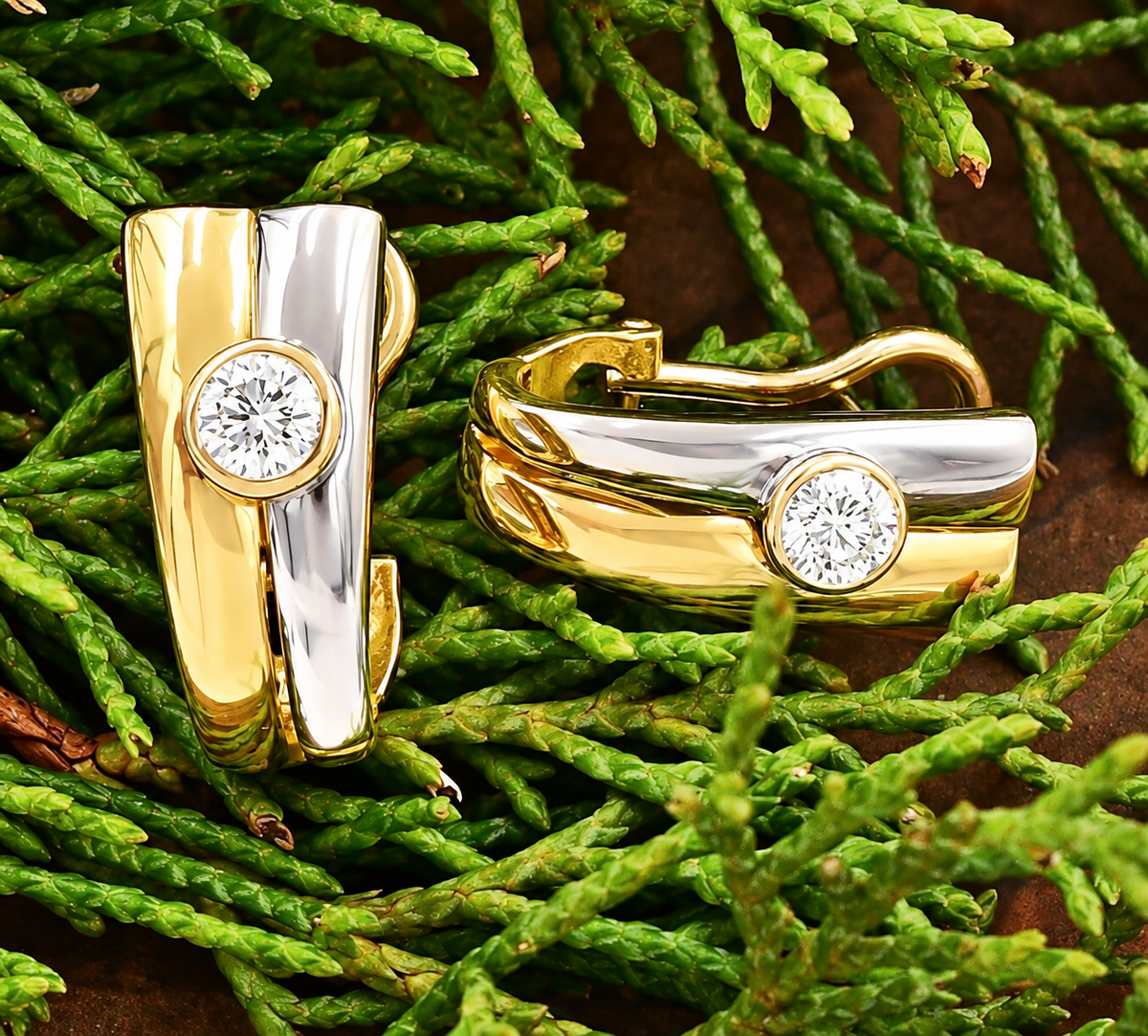 18k Yellow & White Gold Diamond Omega Back hoop earrings, each with a bezel-set round diamond, on evergreen boughs.