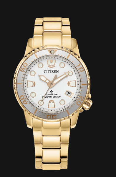Citizens Promaster Dive watch: gold-tone, white face, gold markers, date at 4 o'clock.