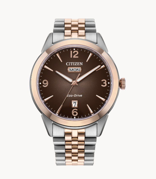 Rolan Citizen's Watch by Citizens: two-tone band, day/date—timeless style in a vintage-inspired design.