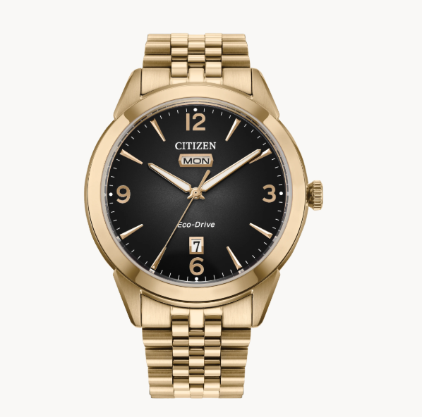 Rolan Citizen's Watch by Citizens: gold-tone stainless steel, black dial, day-date windows, gold hour markers.